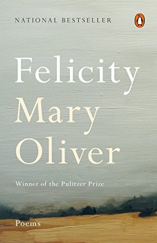 Cover of Felicity